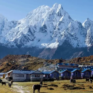 Home Manaslu Circuit Trek