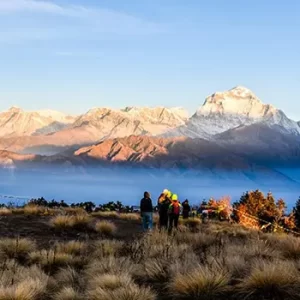 Home Ghorepani Poon Hill Trek